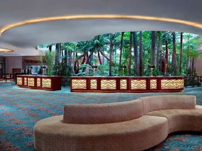 港澳直飞纯玩5日游 家门口出发 5月24 26日