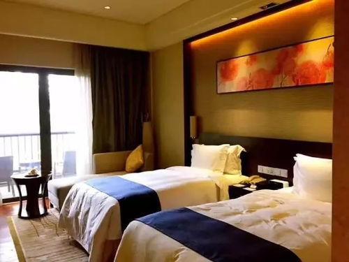 五星酒店亲子之旅 温泉、美食与欢乐的完美融合